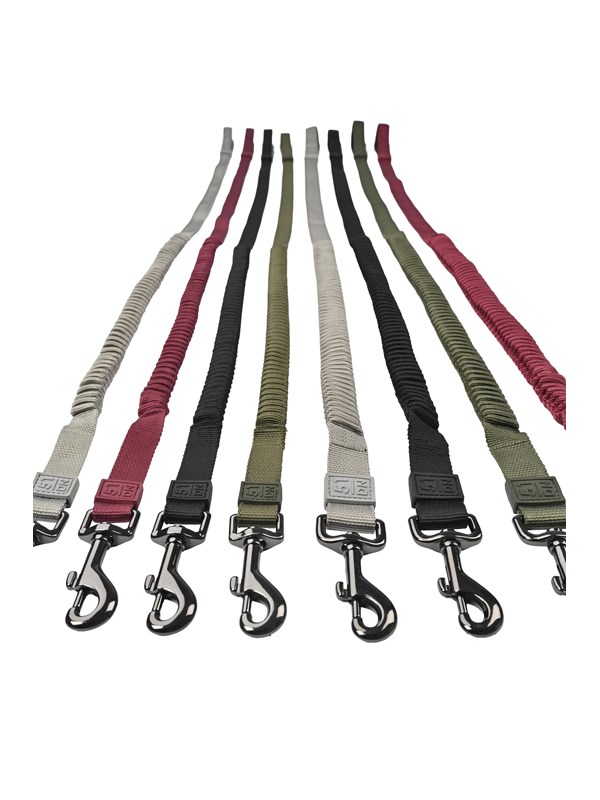 51 Degrees North 51 - Wanderful - Leash - Nylon - Bungee Flat - Bur
