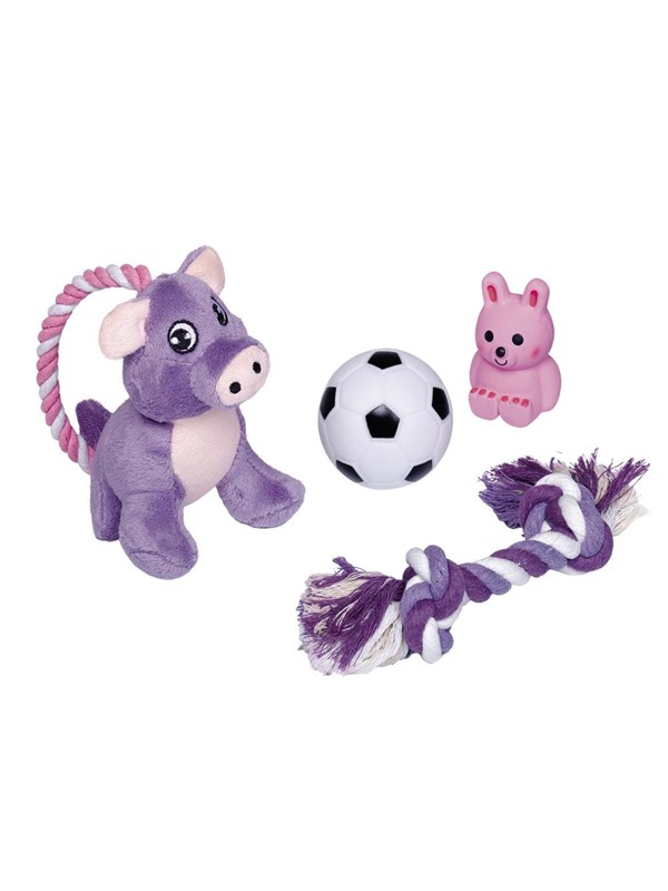 Nobby Hvalpe Starter Set - legetøj