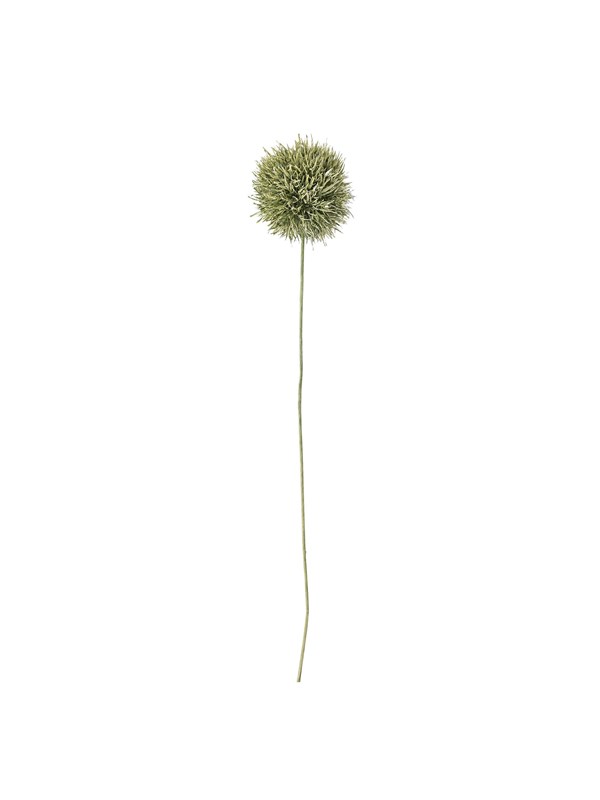 Bloomingville Allium