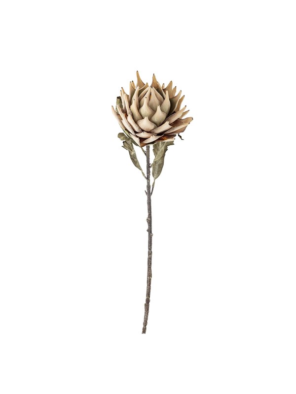 Bloomingville Protea