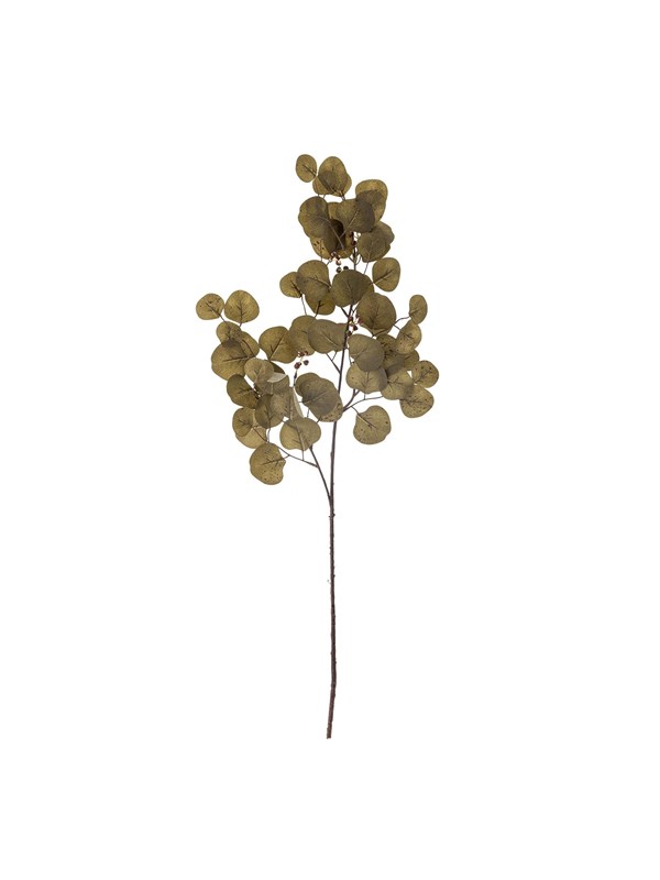 Bloomingville Eucalyptus