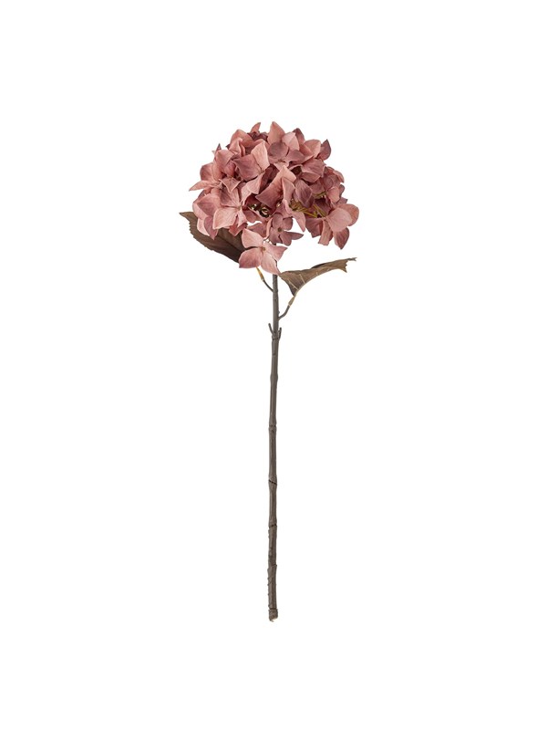 Bloomingville Hydrangea