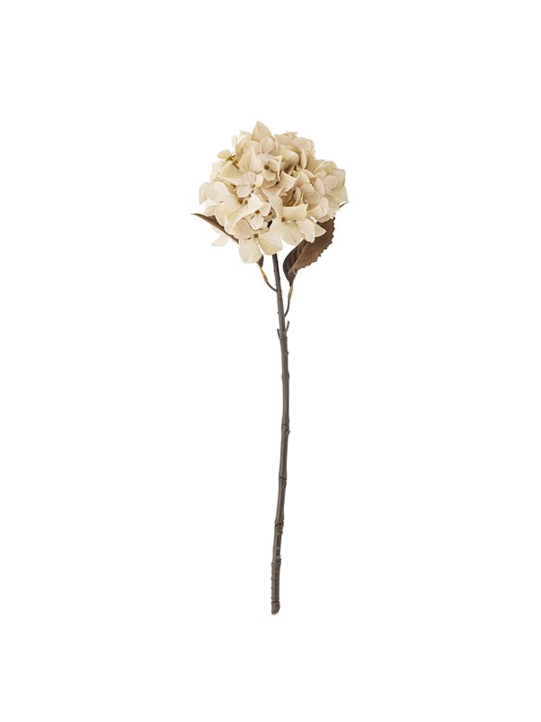 Bloomingville Hydrangea