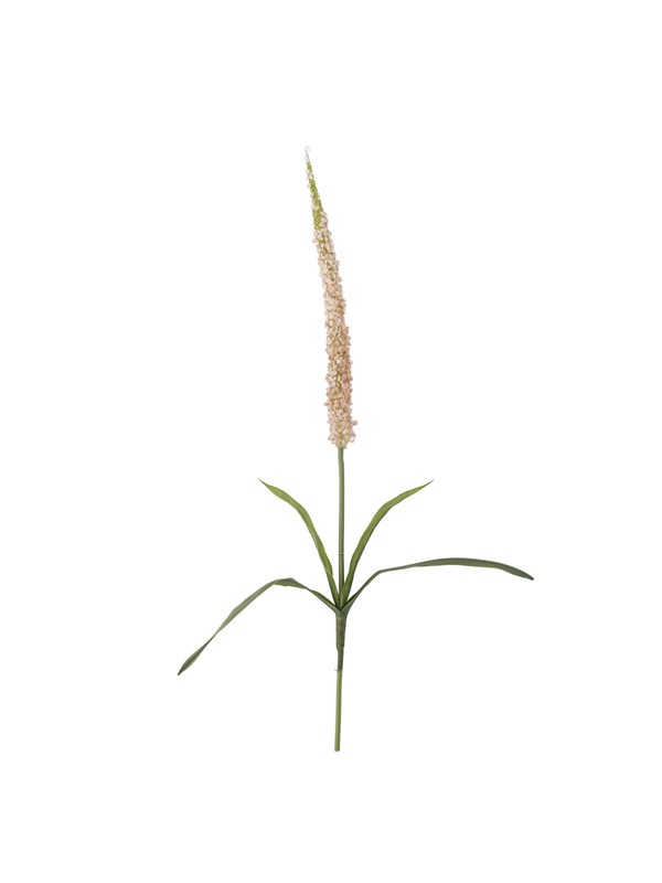 Bloomingville Foxtail