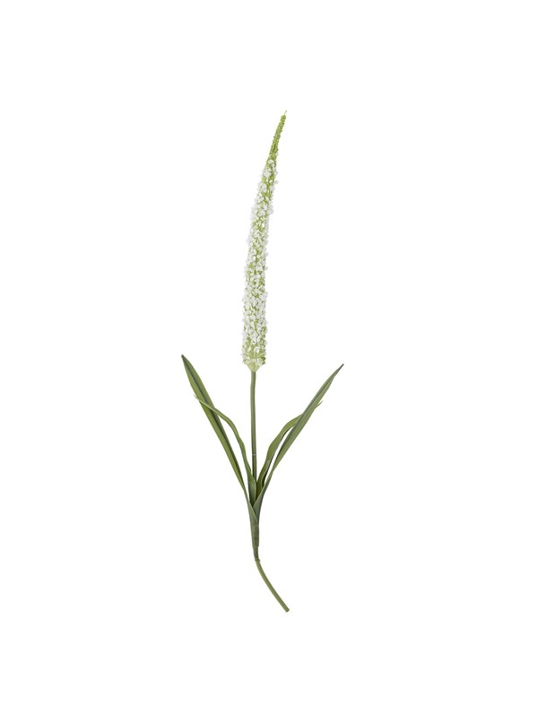 Bloomingville Foxtail