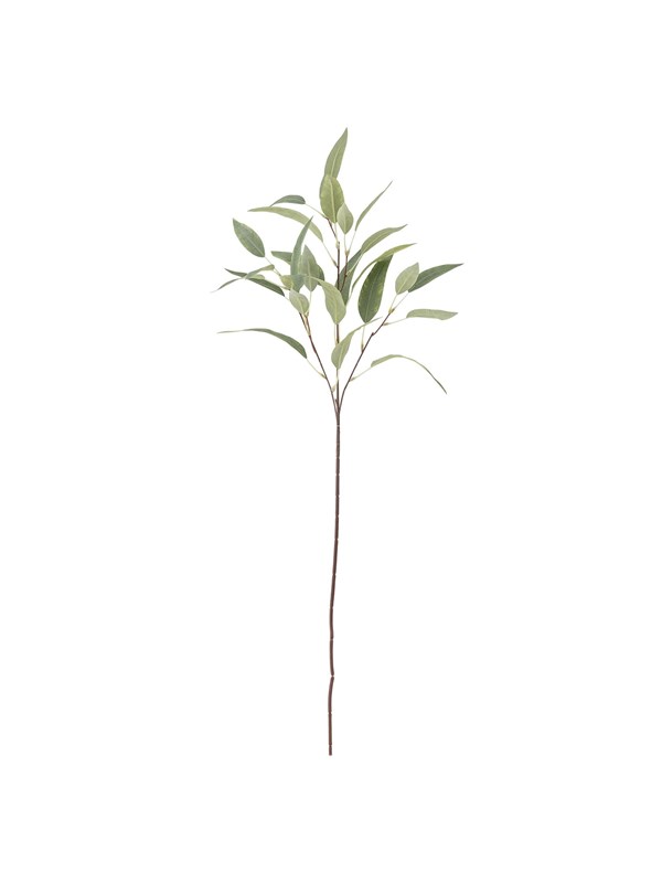 Bloomingville Eucalyptus