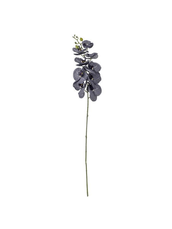 Bloomingville Orchid