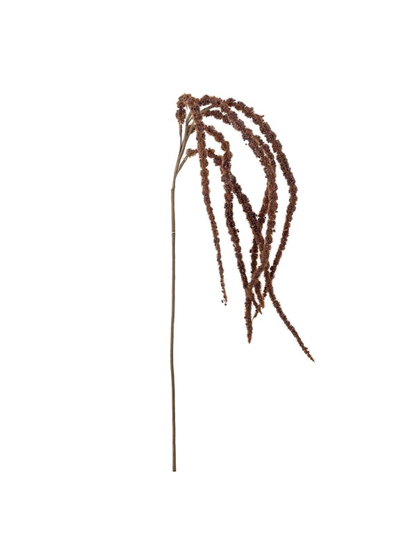 Bloomingville Foxtail