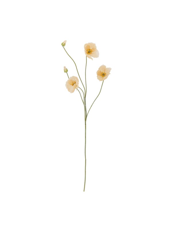 Bloomingville Poppy