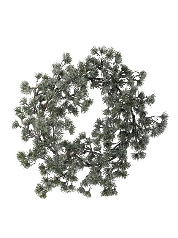 Bloomingville Cedar