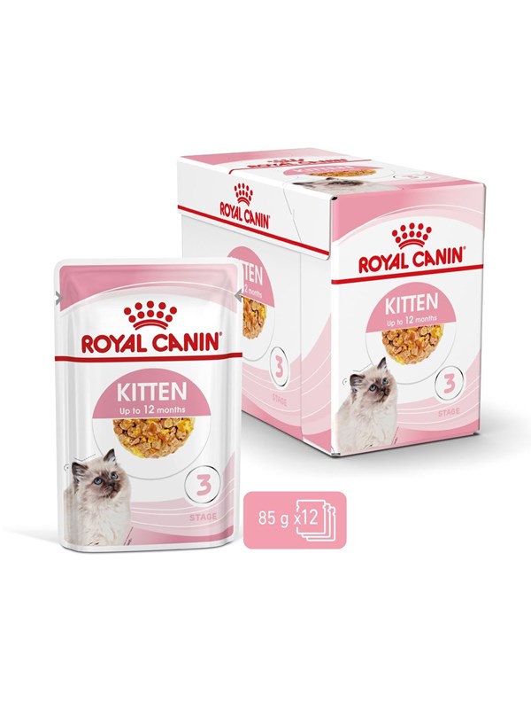 Royal Canin FHN Kitten Instinctive hyytelössä - märkäruoka pennuille - 12x85g