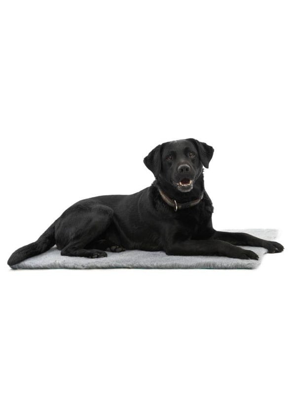 KRUUSE Vet Bed, harmaa, 150 x 75 cm