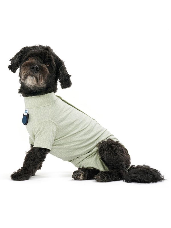 KRUUSE BUSTER Body Suit Step´n Go koirille, XS, Dusty Gre