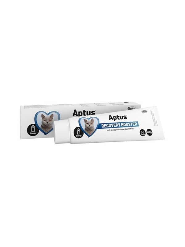Aptus Recovery Booster t/kissa, 60 g (Reconvalescent