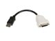 Näyttökaapeli - StarTech.com DisplayPort-DVI-videomuunnin - DP2DVI