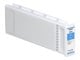 C13T800200