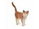 Schleich - Schleich Kissa - 13836