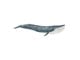 Schleich - Schleich Sinivalas - 14806