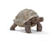 Schleich - Schleich Jättiläiskilpikonna - 14824