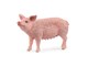 Schleich - Schleich Sika - 13933