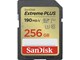 SDSDXWV-256G-GNCIN
