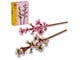 LEGO® - LEGO Botanicals 40725 Kirsikankukat - 40725