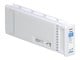 C13T890200
