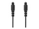 CAGL25000BK100