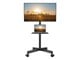 PSTVMC06