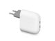 Puhelin - Adapterit & Laturit - Google 67W Pixel Flex Dual Port USB-C Fast Charger *DEMO* - GA09856-EU