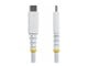 USB2CC1MNCBRWH