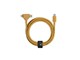 BELT-CCL-KFT-NP