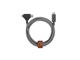 BELT-PROCCL-ZEB-NP