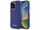 3666339318987