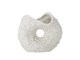 82061819