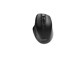 MUSW2-6B-02