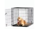 281335