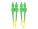 FO-SASA-SD11-0020-YE