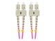 FO-SUSU-MD41-0010-VT