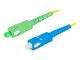 FO-SASU-SS21-0010-YE