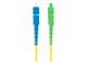 FO-SASU-SS21-0020-YE