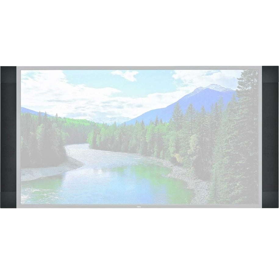 Kotiteatteri - NEC SP-TF1 - 100013520