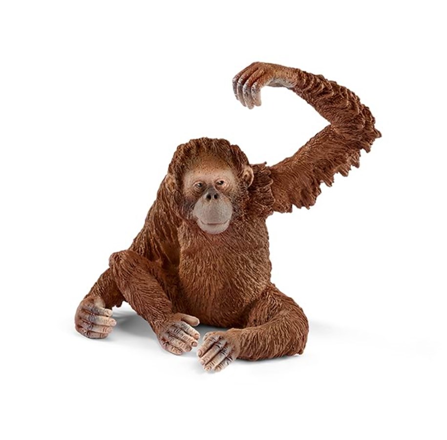 Schleich - Schleich Oranki - naaras - 14775