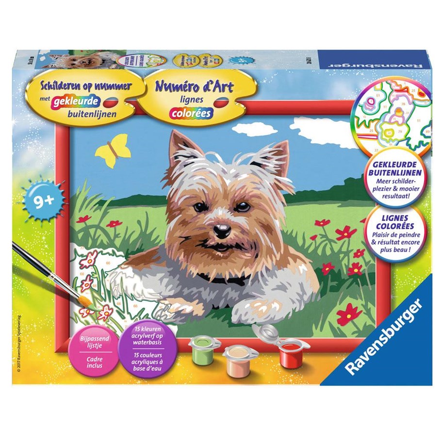 Luovat leikit - Ravensburger Painting by numbers-small Yorkshire Terrier - 286218