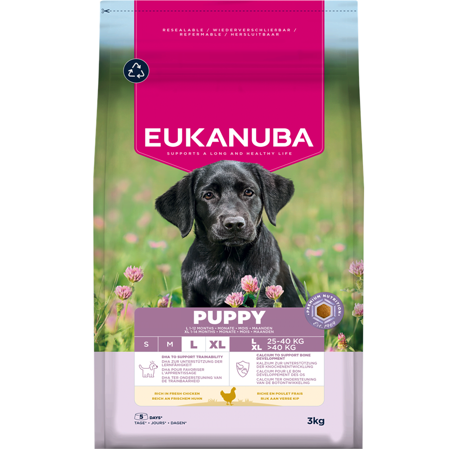 Koirat - Eukanuba Puppy Large Breed Fresh Chicken 3kg - EH030300