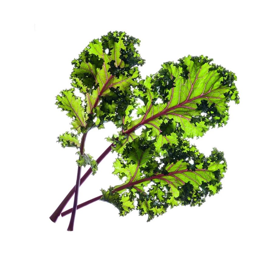 Smart Home - Älykoti - Click & Grow Smart Garden Refill 3-pack - Punainen Kale - SGR47X3