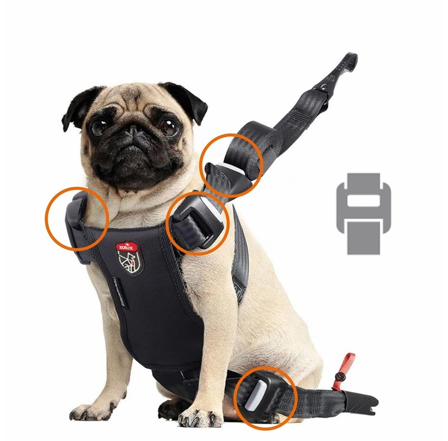 Koirat - Zolux Travel Safe Isofix Car Safety Harness Red Medium 14-26kg - 3336024621233