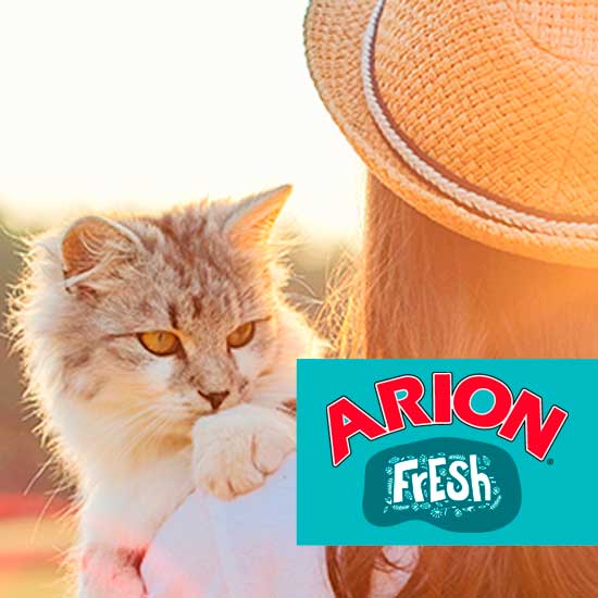 Arion Fresh kissa
