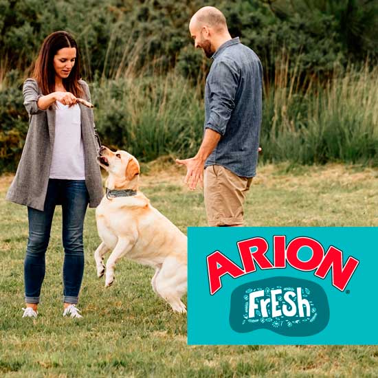Arion Fresh koira