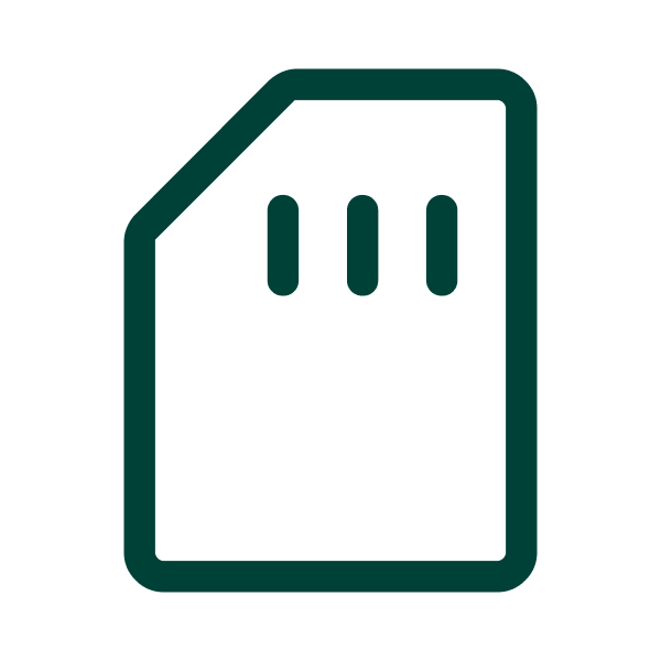 LAAJENNETTAVA MUISTI (SD-KORTTI) icon